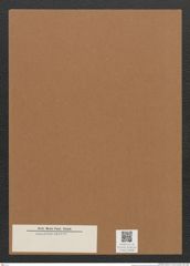 Diatomeae indet. Zeichnungen Sammlung Grunow Mappe 02698 (Herbarium_W_Grunow_drawings_Folder_02698)
